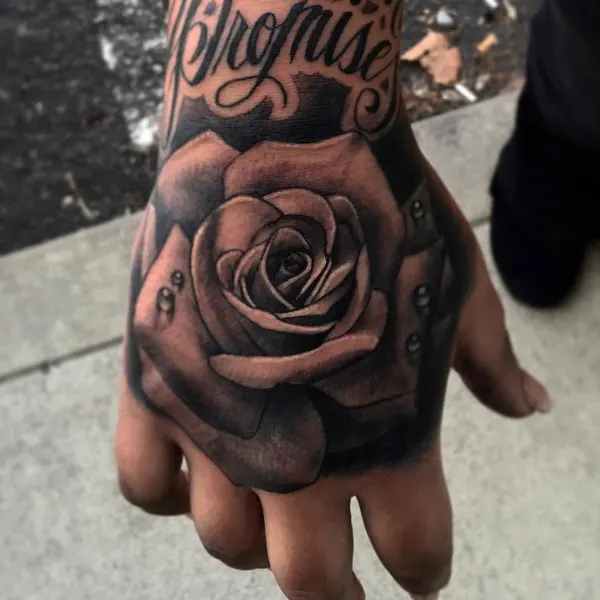 Flower, Rose, Lettering