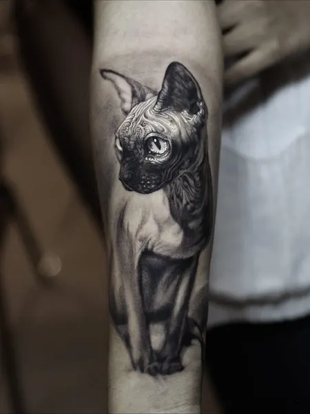 Animal