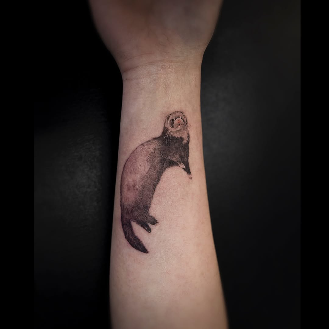 Animal, 고슴도치, 나무늘보