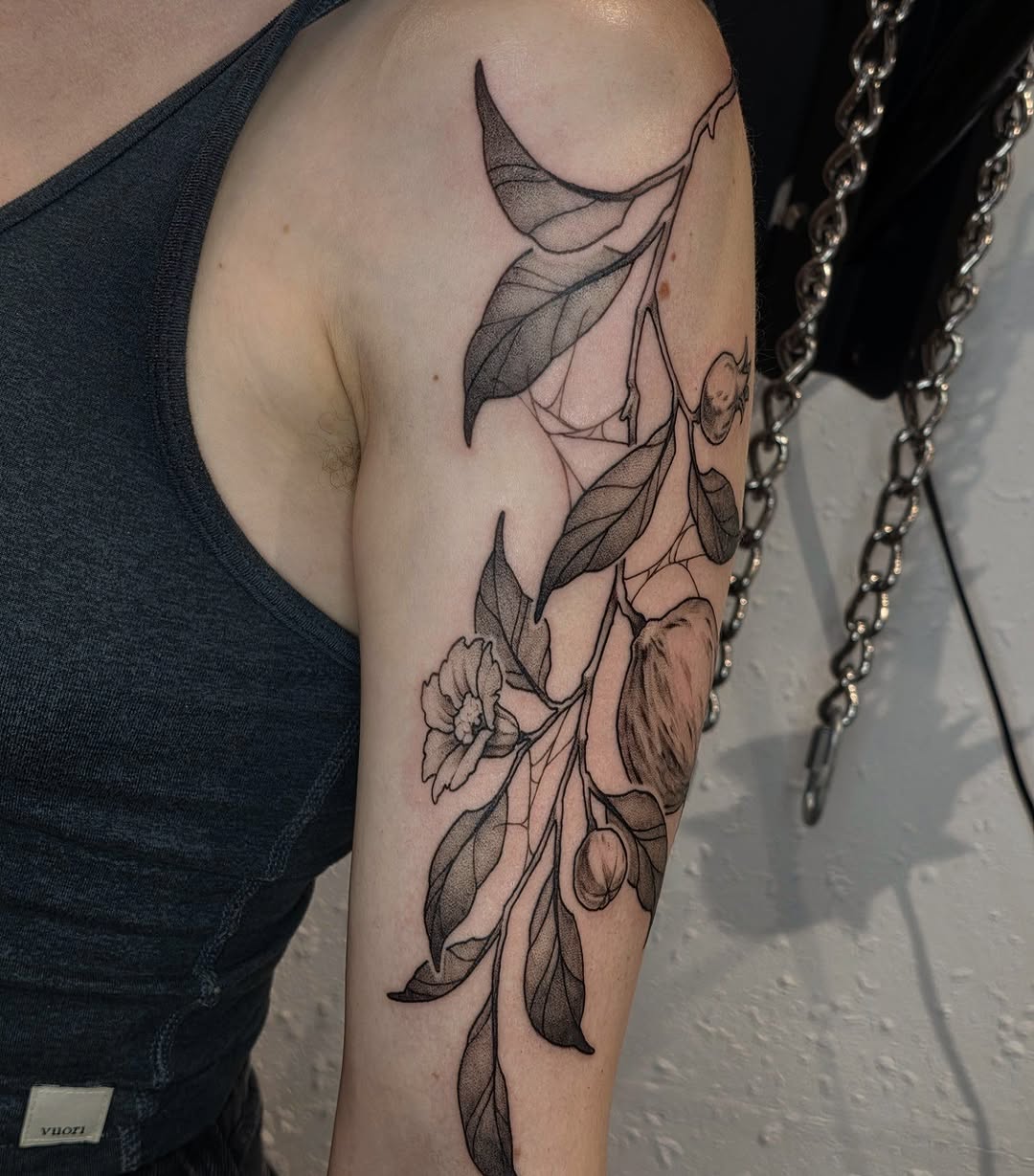 Flower, Rose, Nature