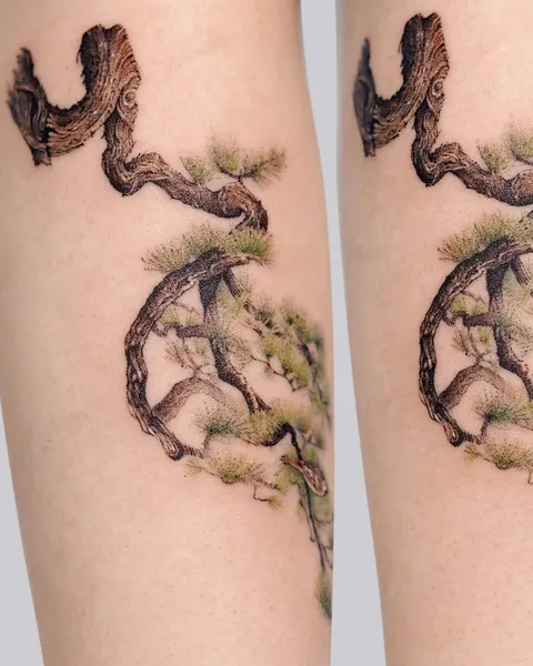 Nature, 나무