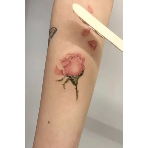 Flower, Rose