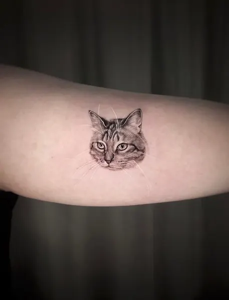 Animal, 원숭이