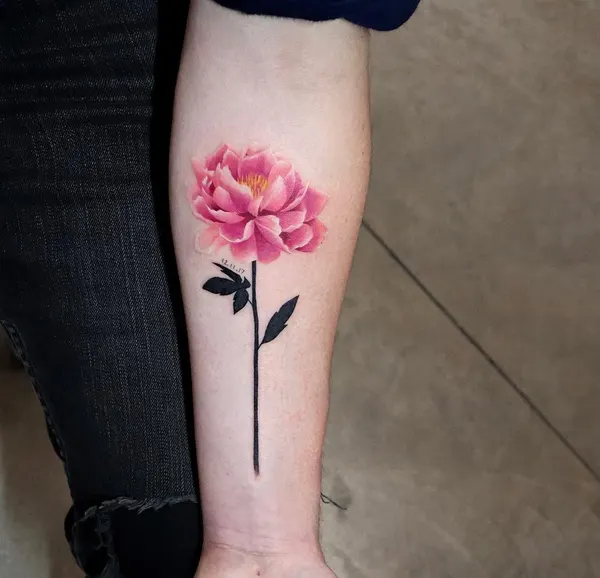 Flower, Rose