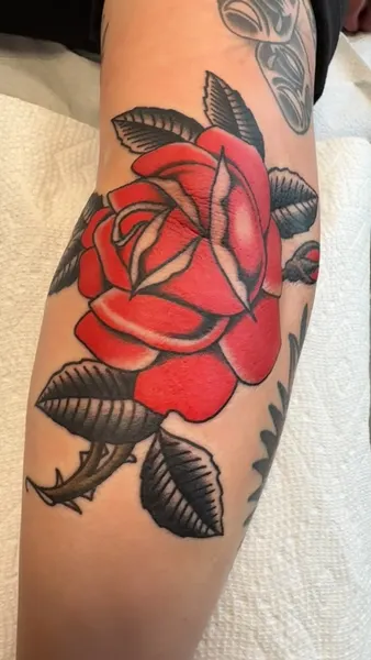 Flower, Rose