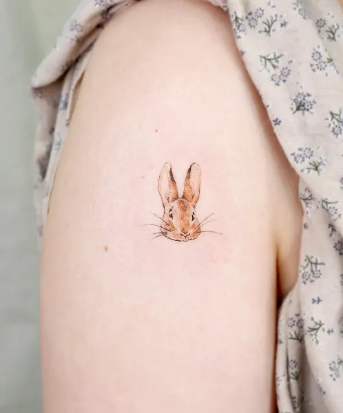 Animal