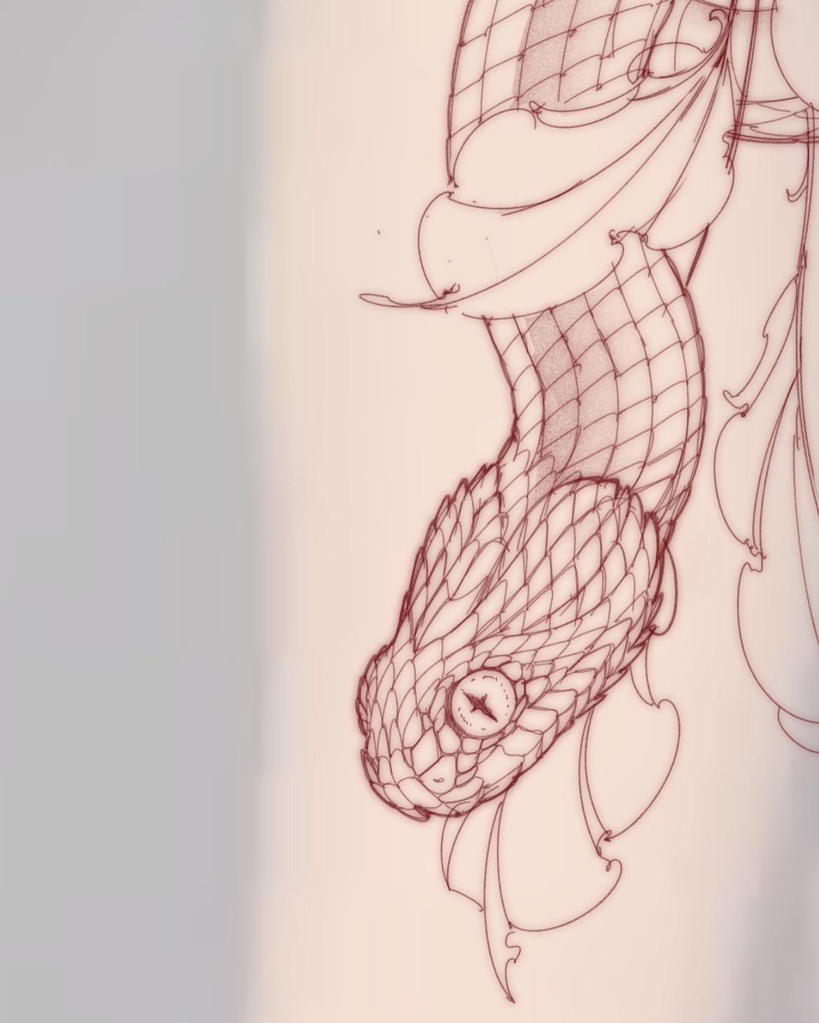 Snake, Dragon