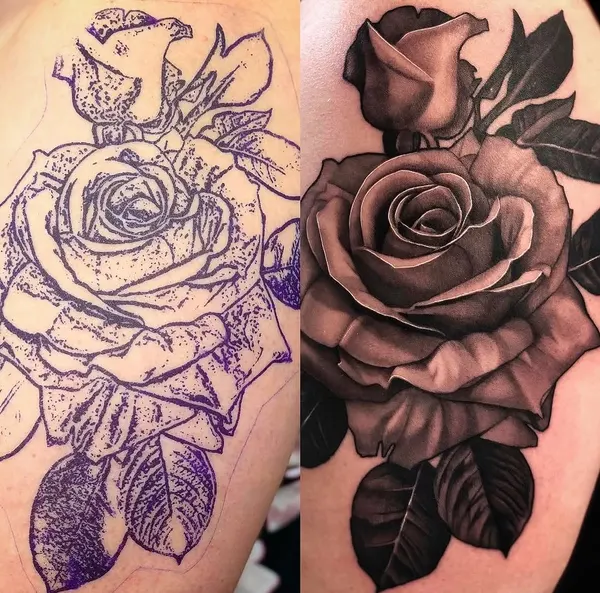 Flower, Rose