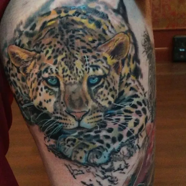 Animal