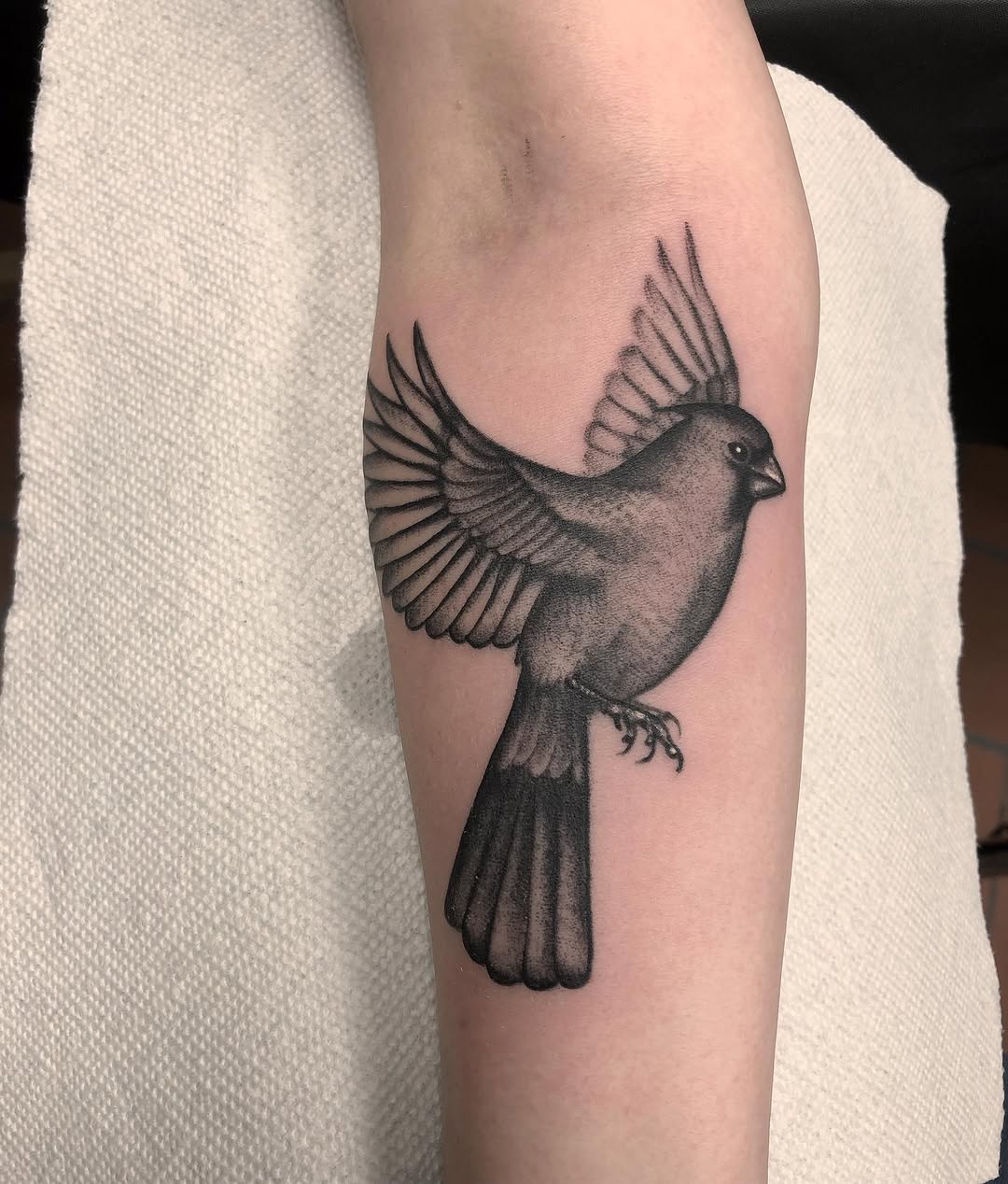 timbecktattoos
