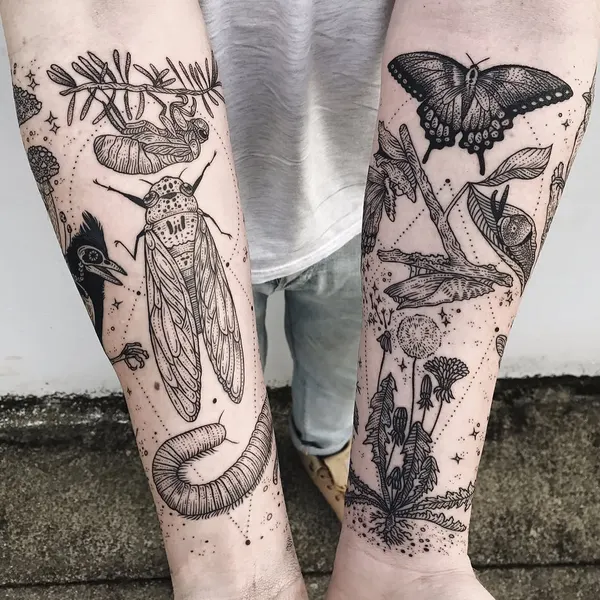 Nature, Animal