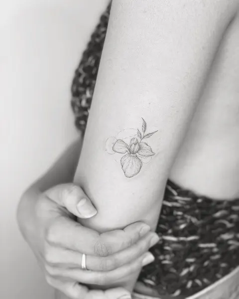 Flower, Lettering