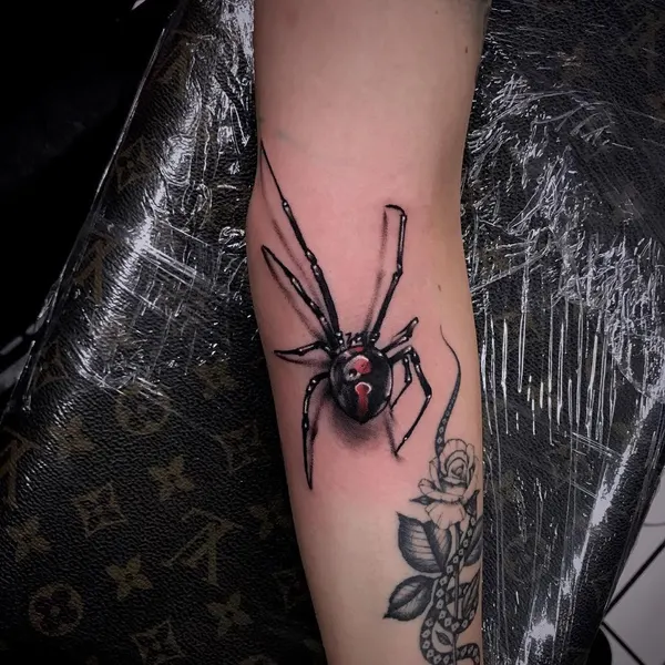 Animal