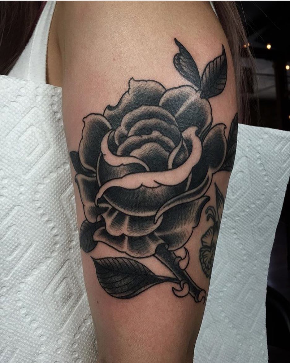 Flower, Rose
