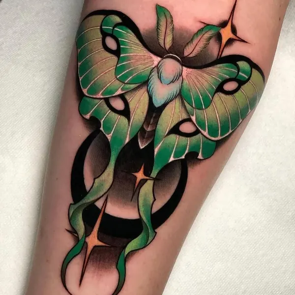 Animal, Nature