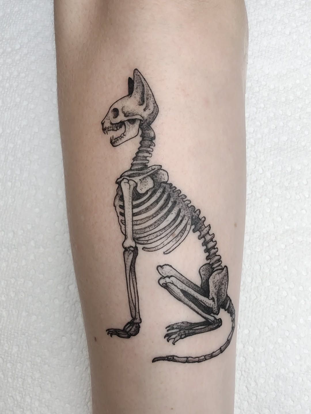 memoespino_art