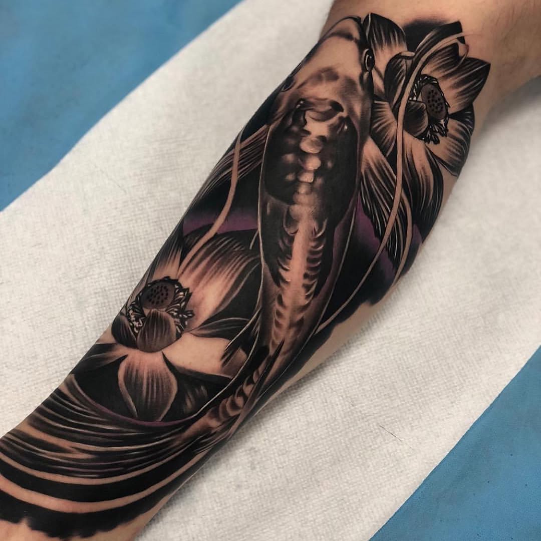 Animal, Dragon