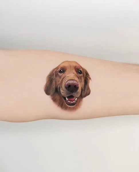 Animal