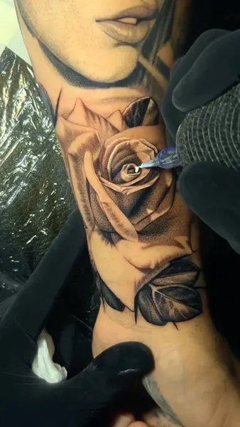Flower, Rose
