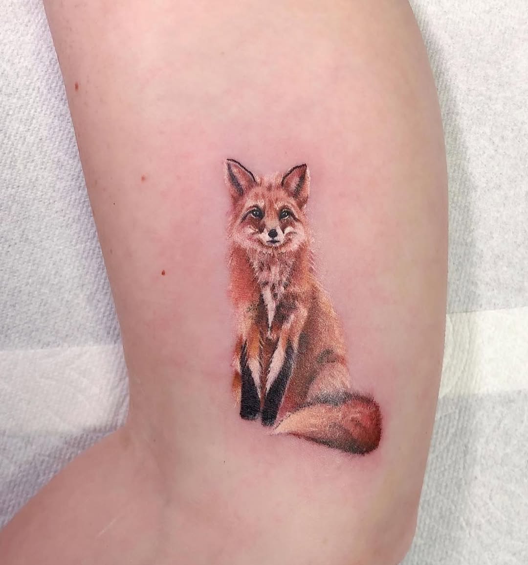 Animal