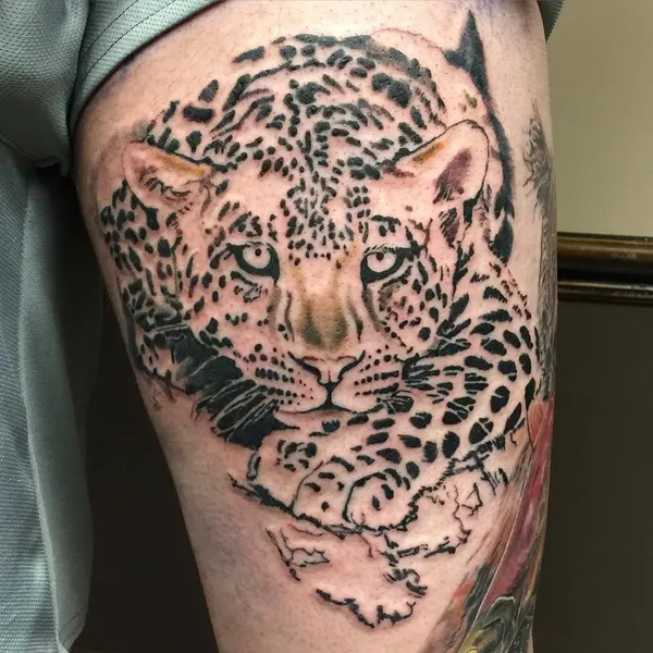Animal