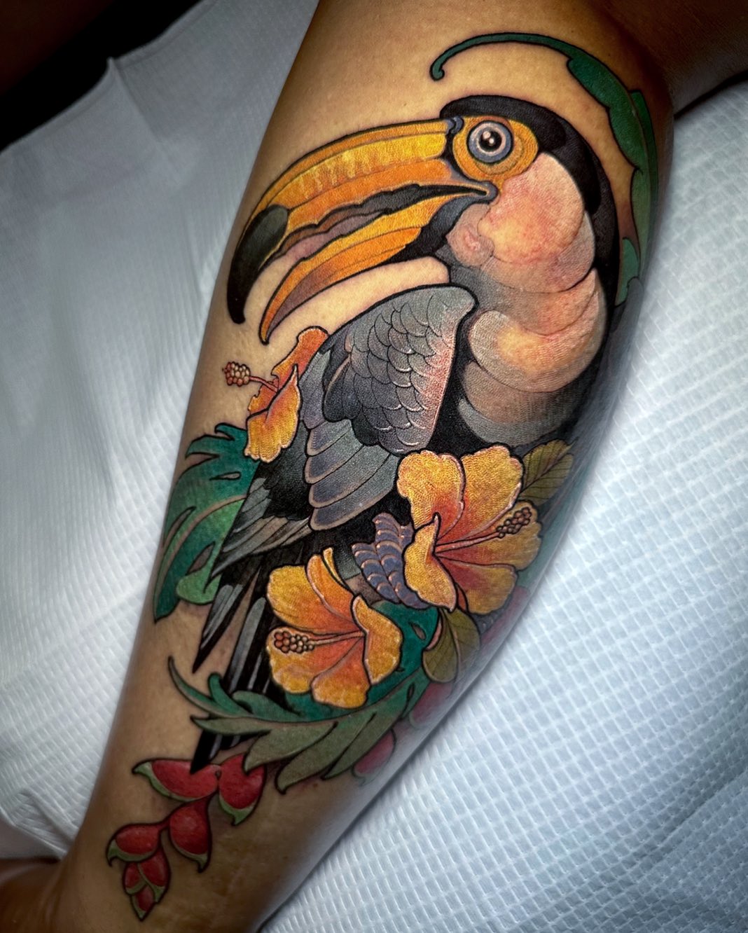 Flower, Animal, Nature
