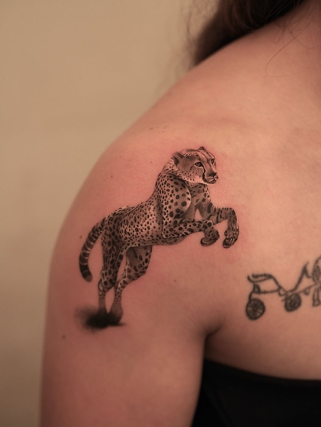 Animal, Tiger