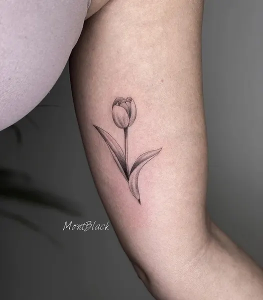 Flower, 튤립