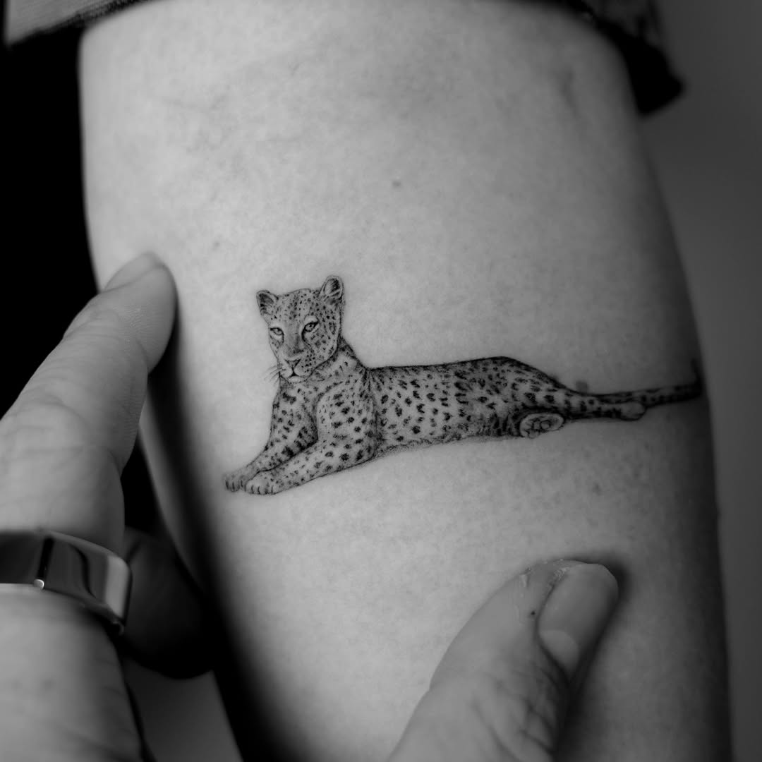 Tiger