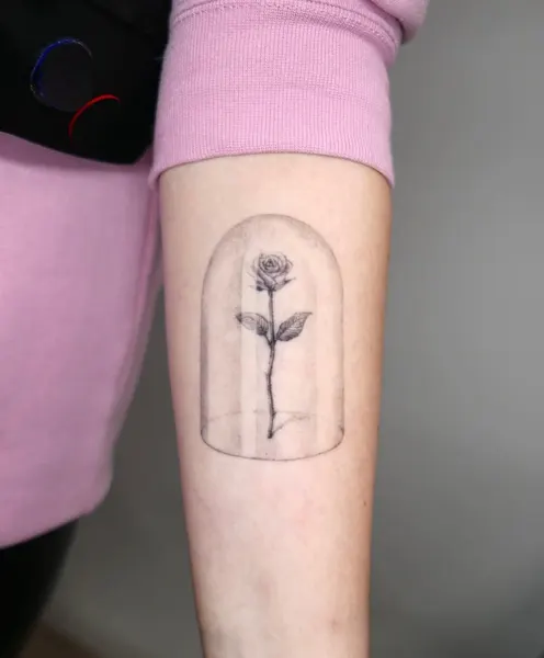 Flower, Rose