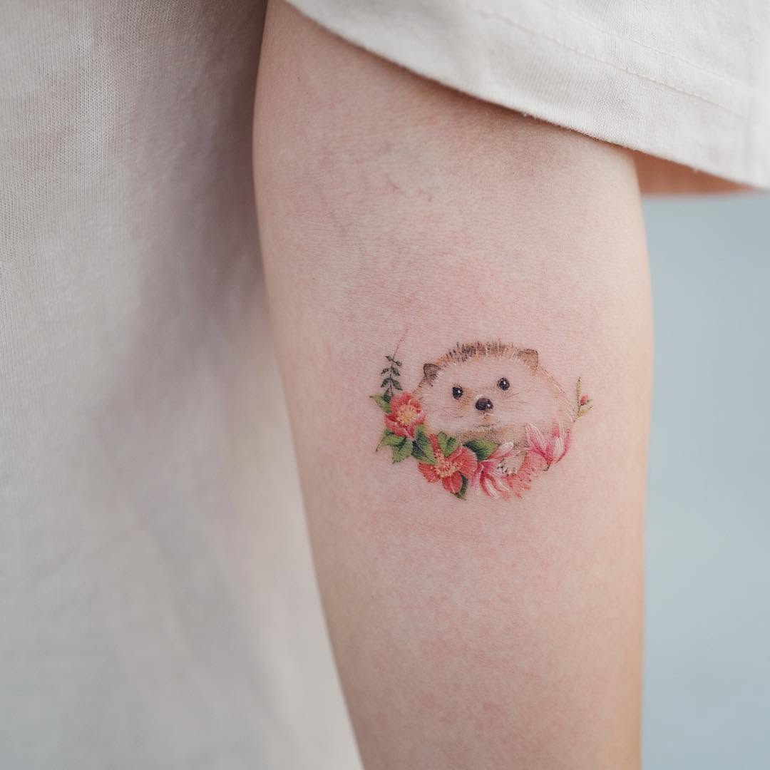고슴도치, Mini, 나무늘보