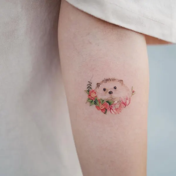 고슴도치, Mini, 나무늘보