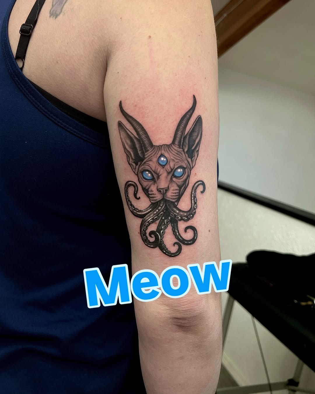 Animal, 문어