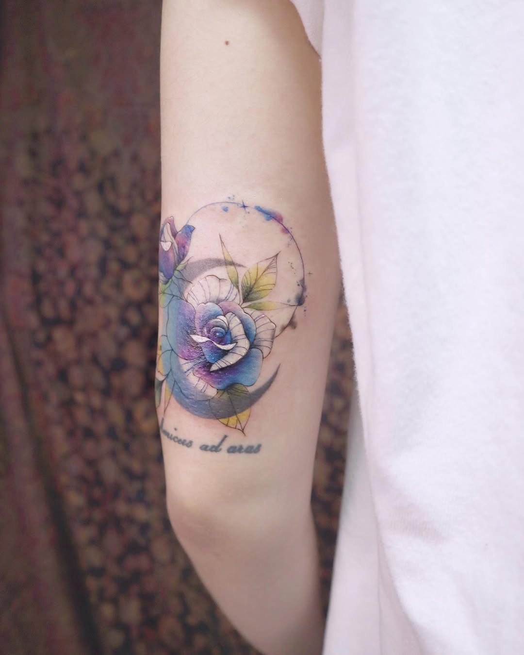 Flower, Rose