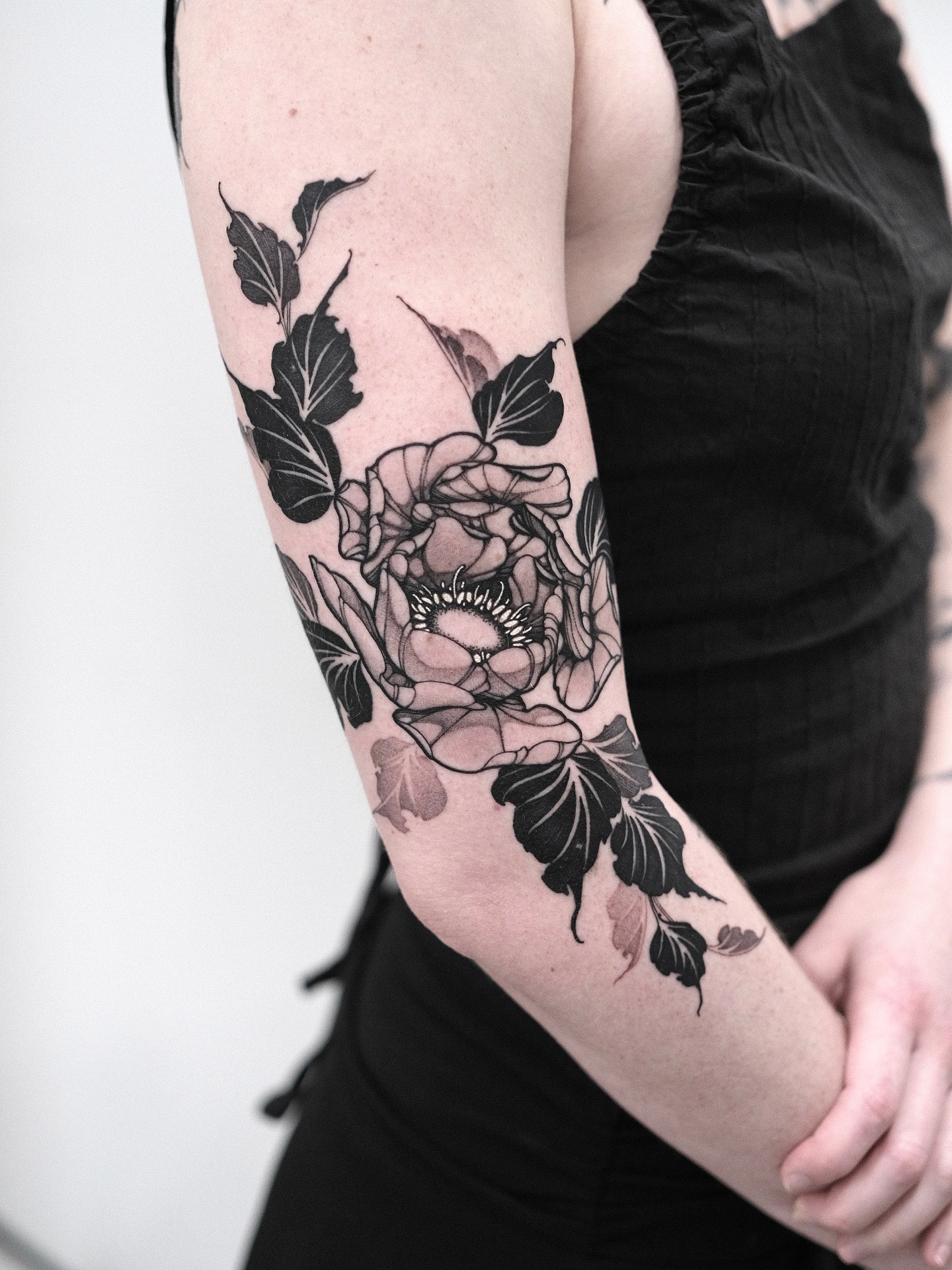 Flower, Rose, Nature