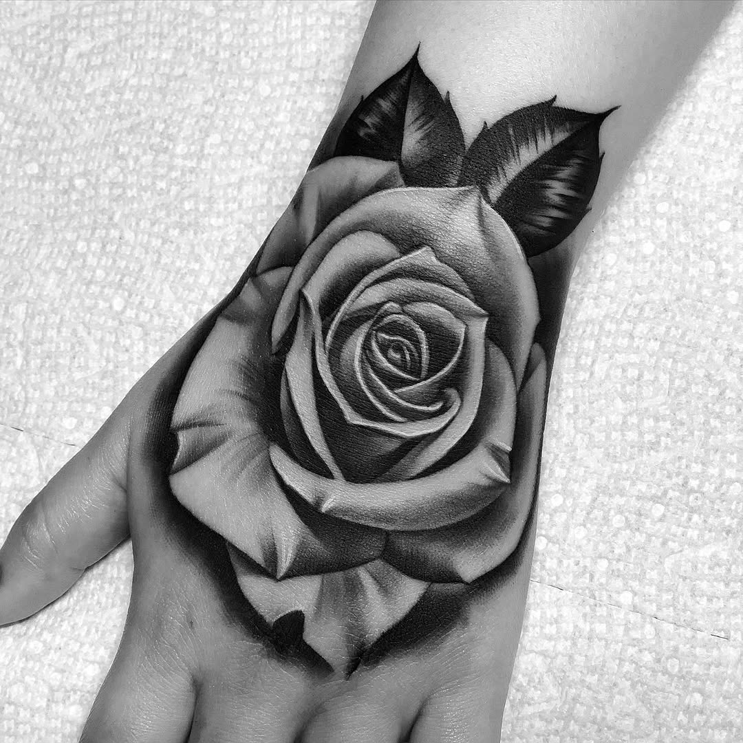 Flower, Rose