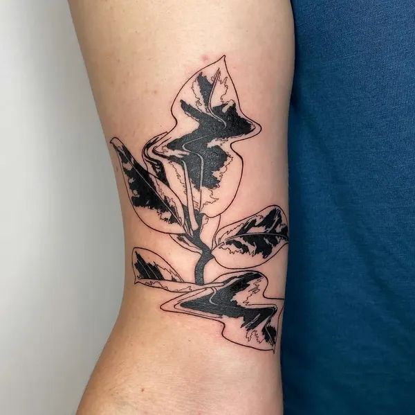 plantsnpokes