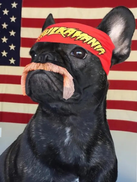 chasetafoya