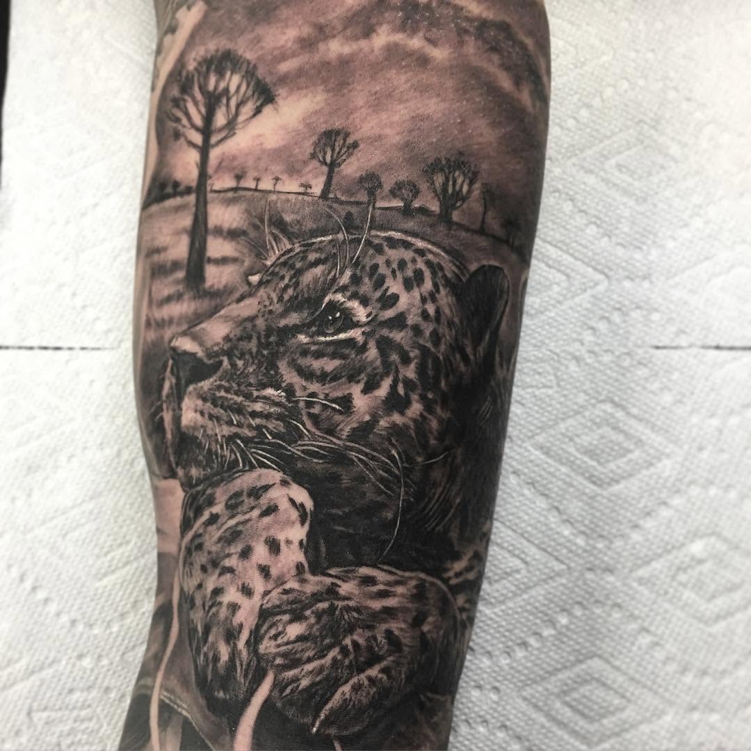 Animal