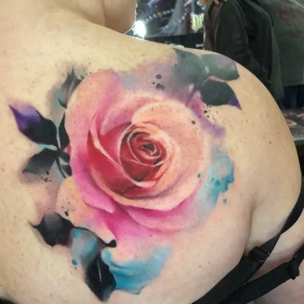 Flower, Rose, Nature