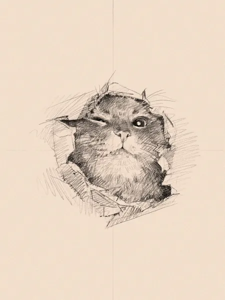 Animal
