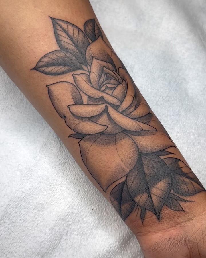 Flower, Rose