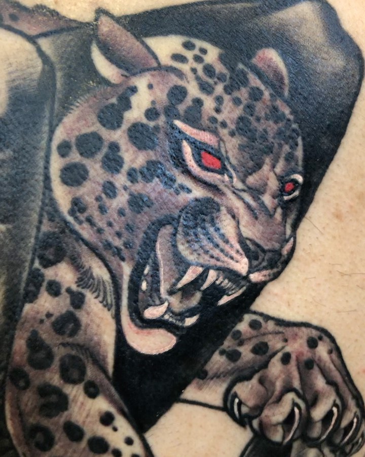 Animal