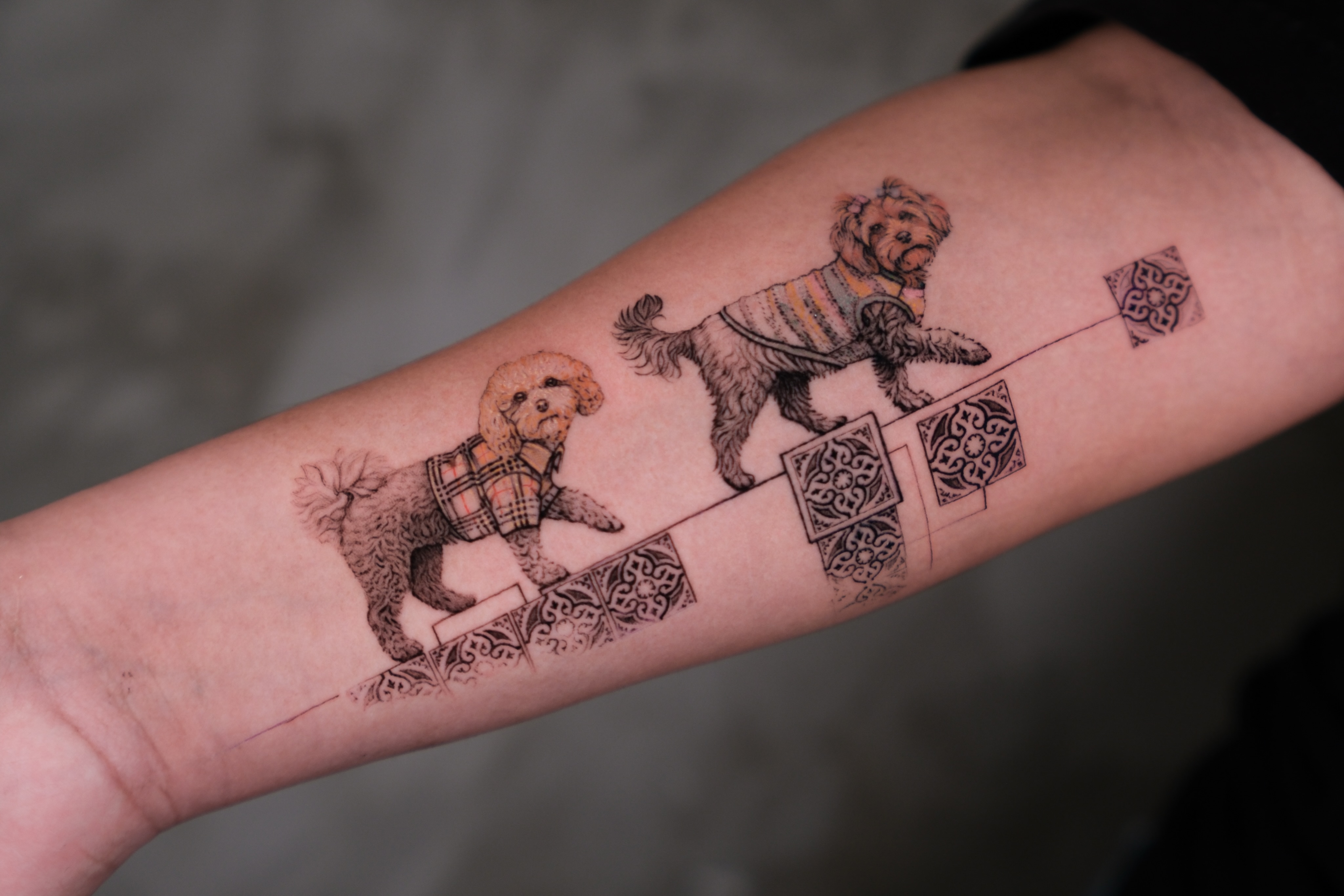 Animal, Mini