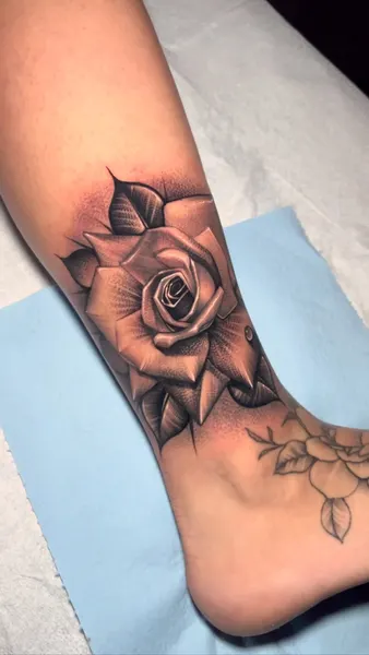 Flower, Rose