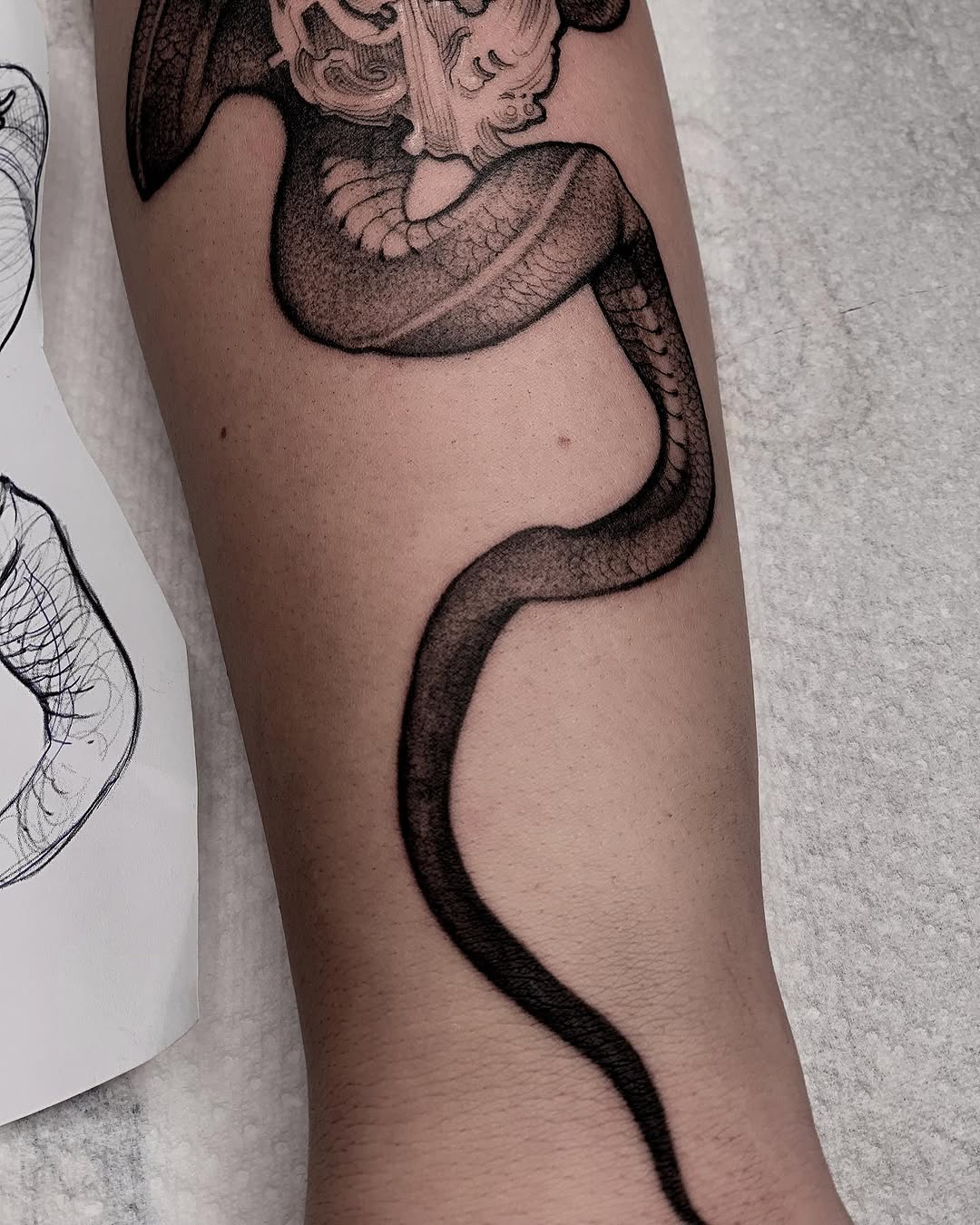 Animal, Dragon