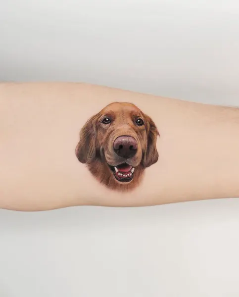 Animal