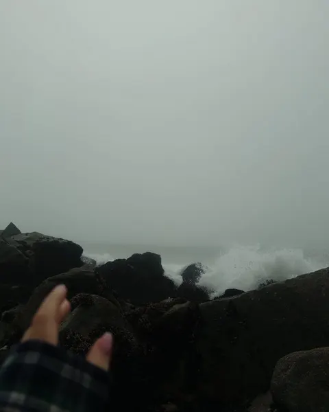 ponywave