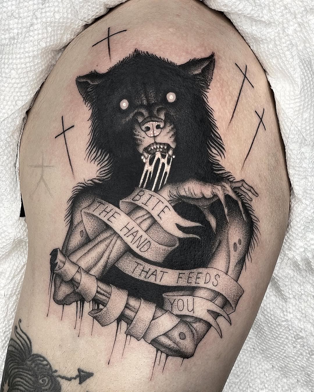 Animal, Tiger