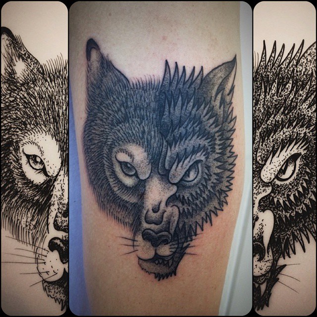 Animal, Tiger